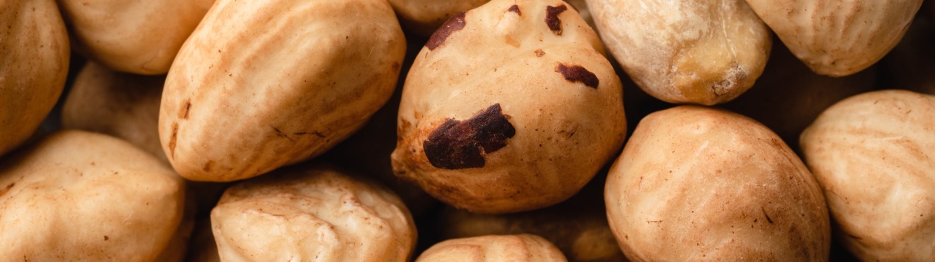 Piedmont Hazelnuts: A Heritage of Taste and Tradition